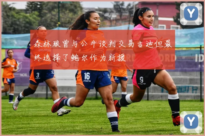 森林狼曾与公牛谈判交易吉迪但最终选择了鲍尔作为新援