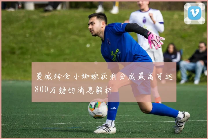 曼城转会小蜘蛛获利分成最高可达800万镑的消息解析